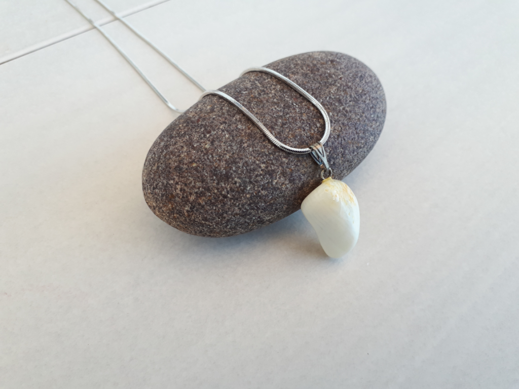 Wshop קניון הרוחניות מבית אלטרנטיבלי