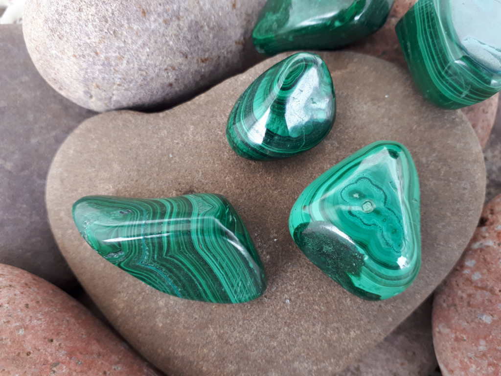 Wshop קניון הרוחניות מבית אלטרנטיבלי