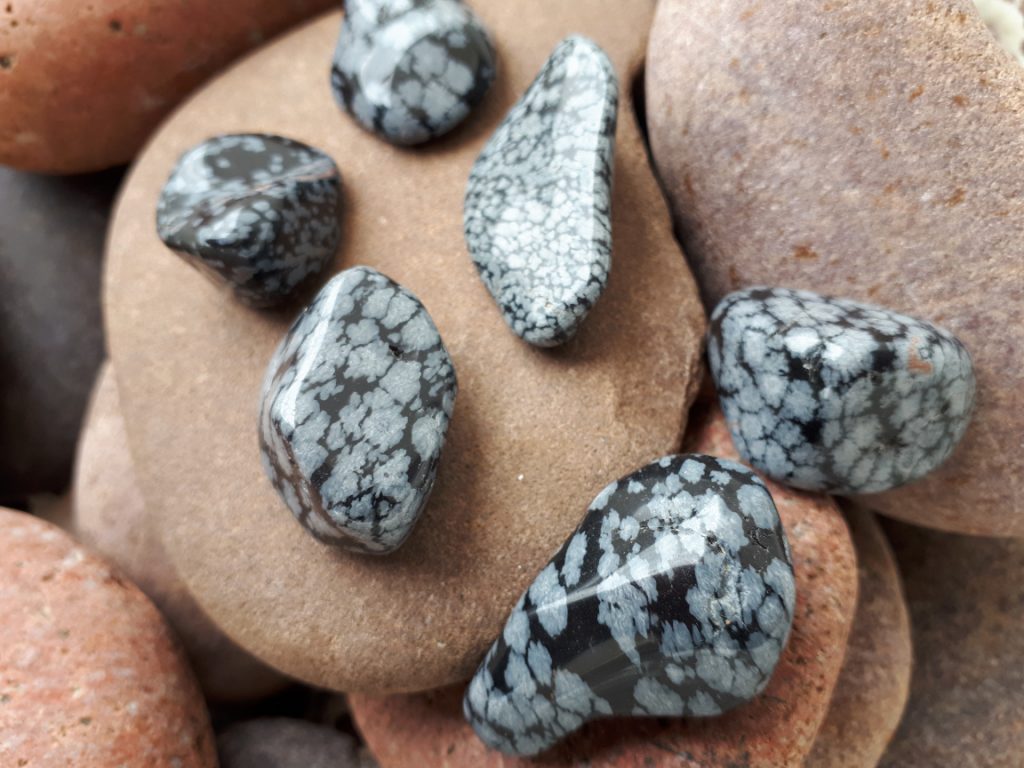 Wshop קניון הרוחניות מבית אלטרנטיבלי