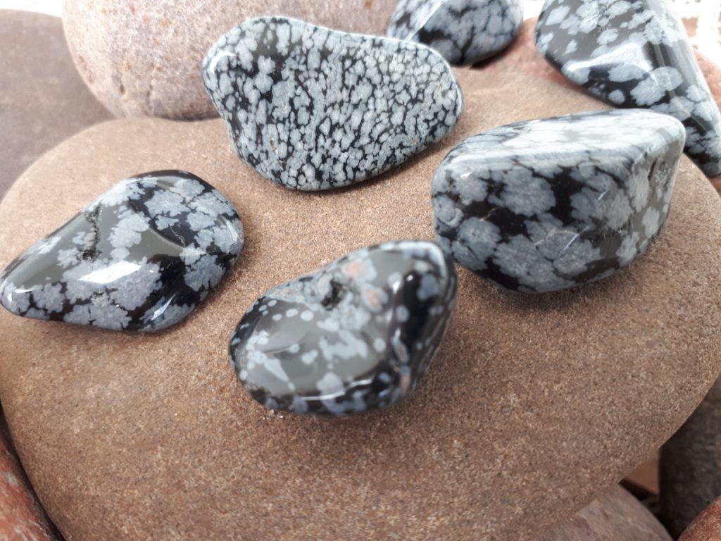 Wshop קניון הרוחניות מבית אלטרנטיבלי