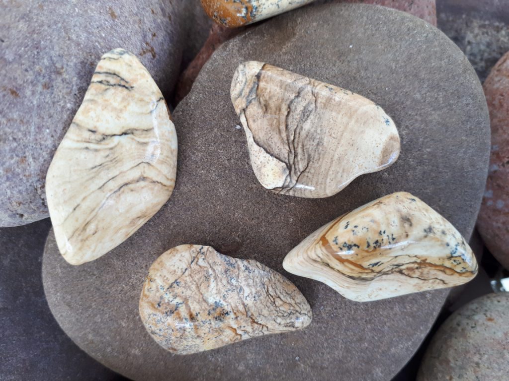 Wshop קניון הרוחניות מבית אלטרנטיבלי