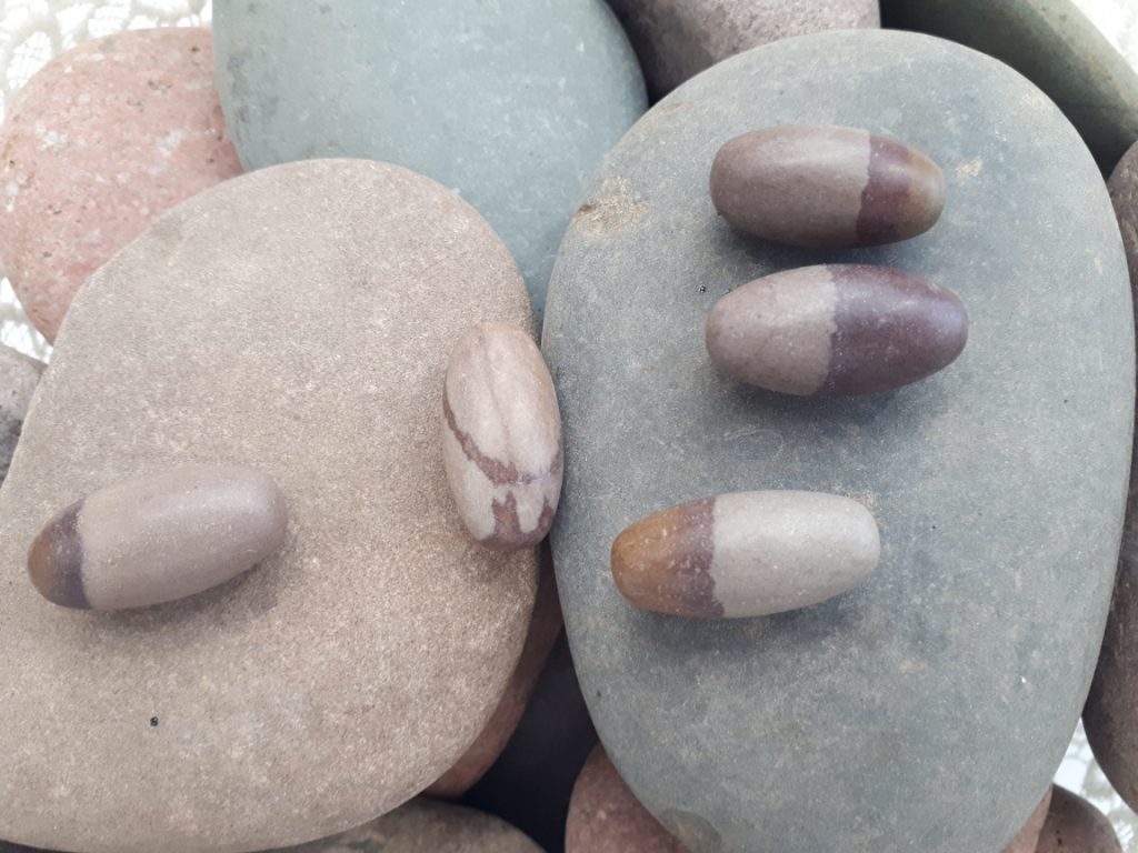 Wshop קניון הרוחניות מבית אלטרנטיבלי