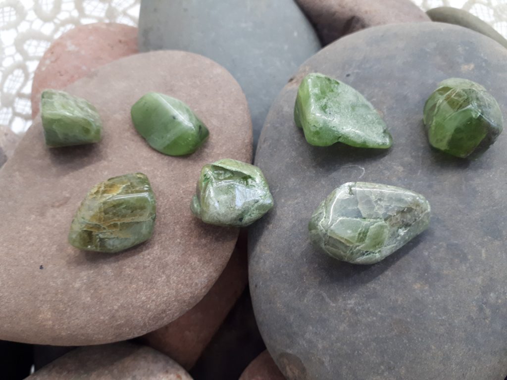 Wshop קניון הרוחניות מבית אלטרנטיבלי