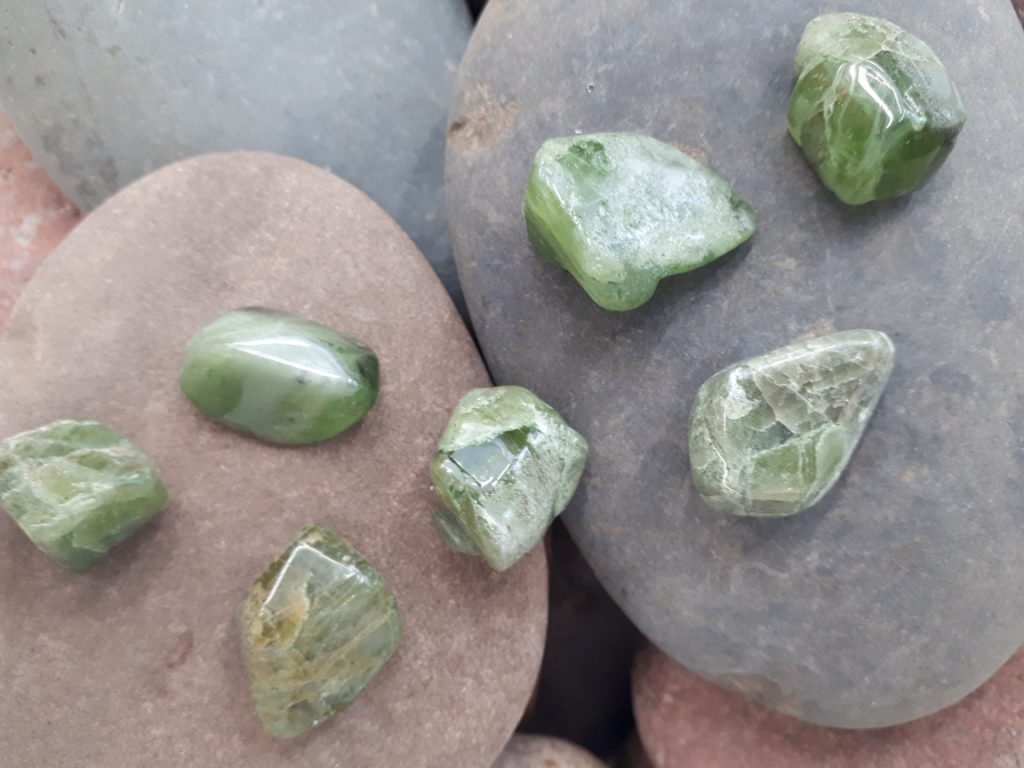 Wshop קניון הרוחניות מבית אלטרנטיבלי