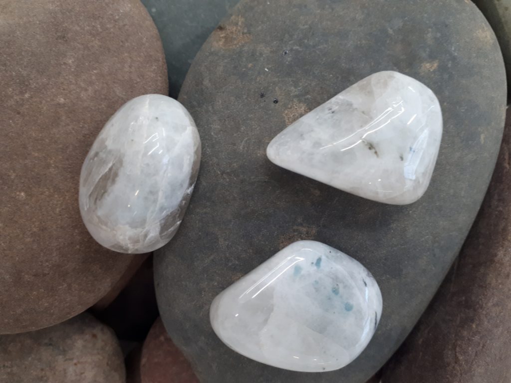 Wshop קניון הרוחניות מבית אלטרנטיבלי