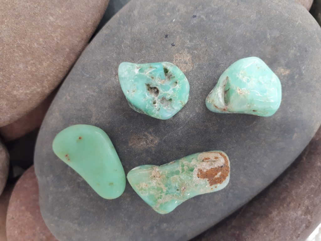 Wshop קניון הרוחניות מבית אלטרנטיבלי