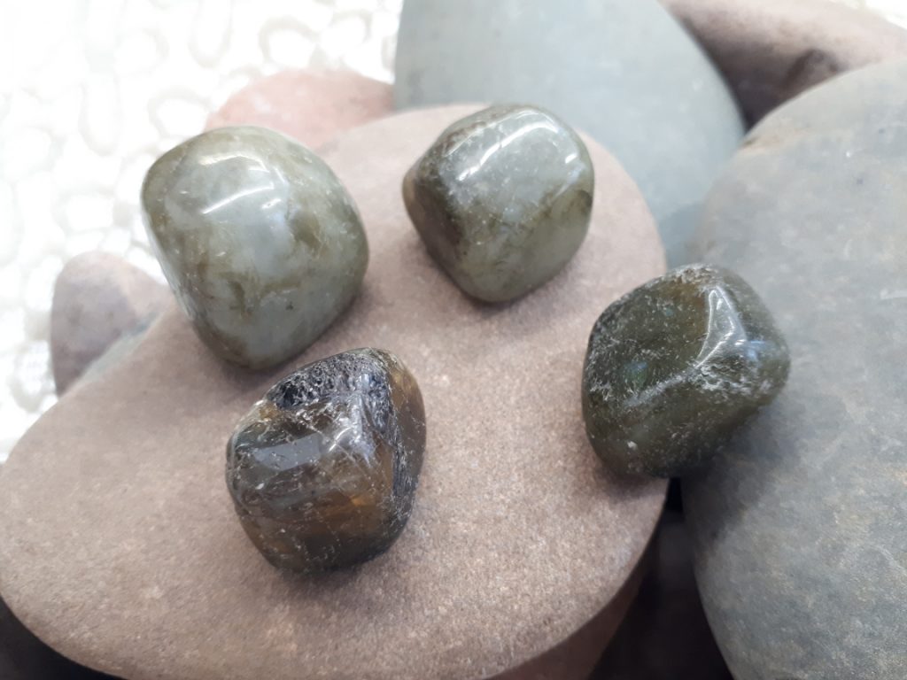 Wshop קניון הרוחניות מבית אלטרנטיבלי