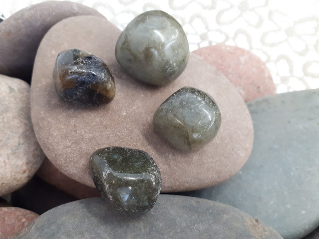 Wshop קניון הרוחניות מבית אלטרנטיבלי