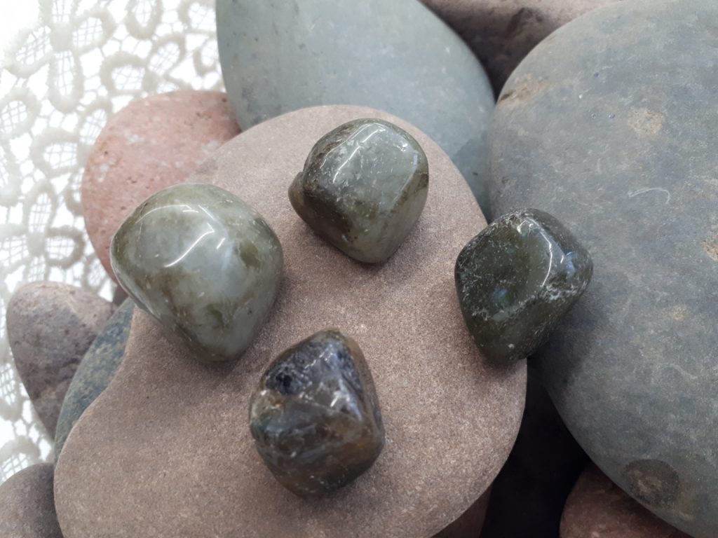 Wshop קניון הרוחניות מבית אלטרנטיבלי