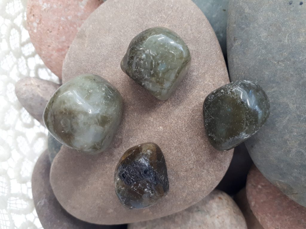 Wshop קניון הרוחניות מבית אלטרנטיבלי