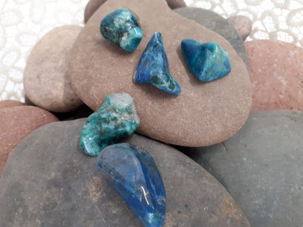 Wshop קניון הרוחניות מבית אלטרנטיבלי