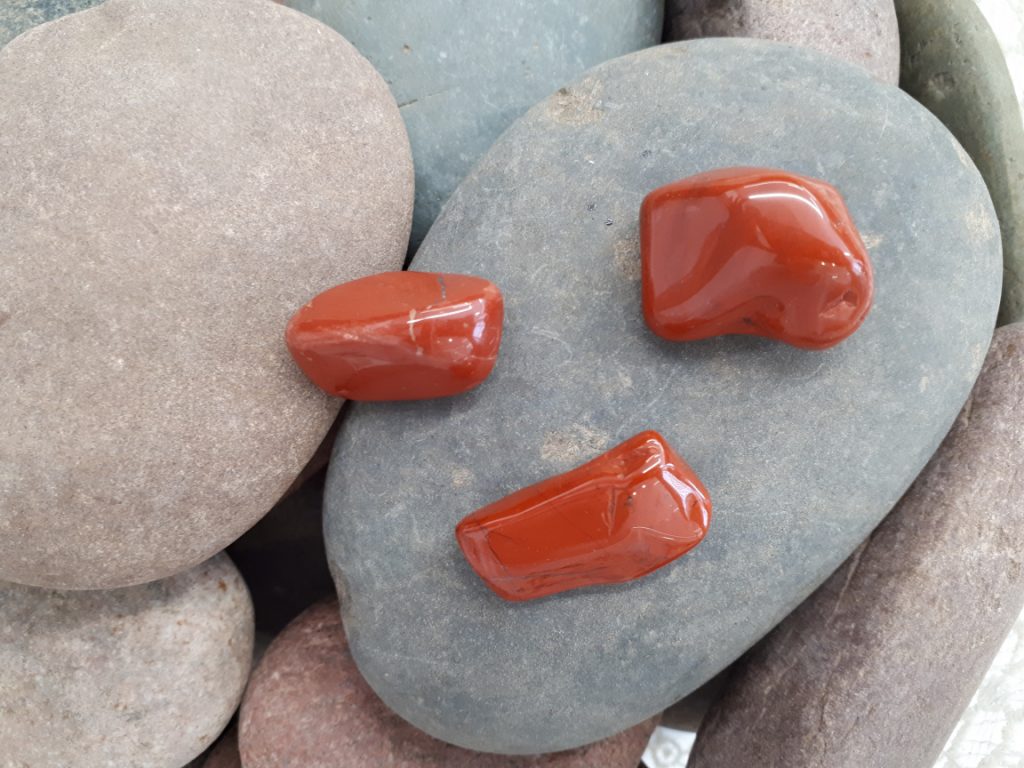 Wshop קניון הרוחניות מבית אלטרנטיבלי