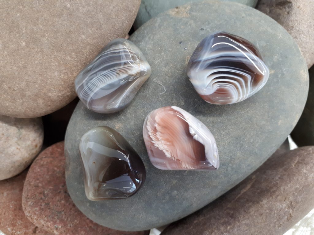 Wshop קניון הרוחניות מבית אלטרנטיבלי