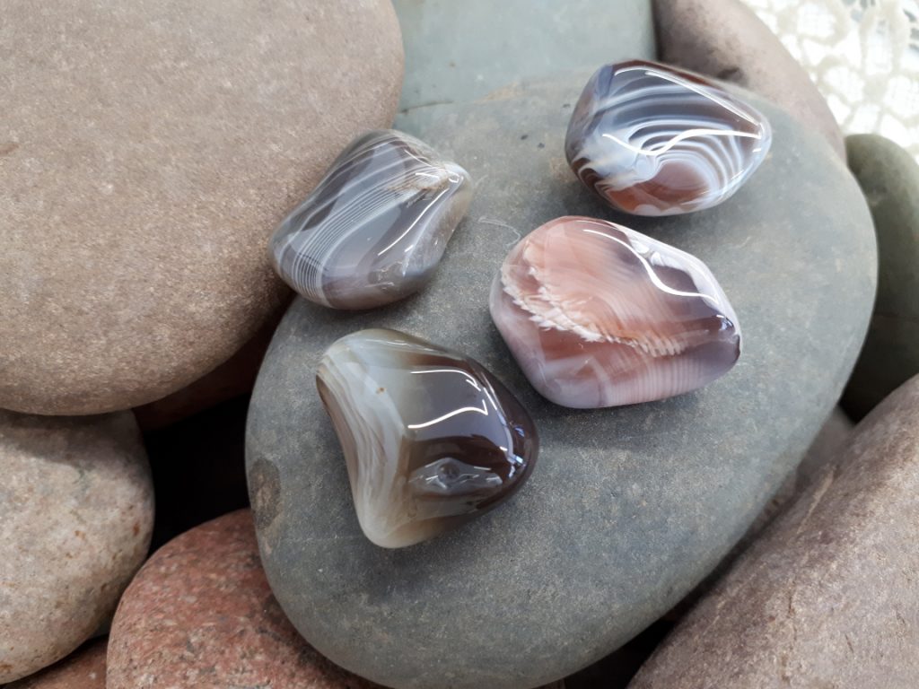 Wshop קניון הרוחניות מבית אלטרנטיבלי