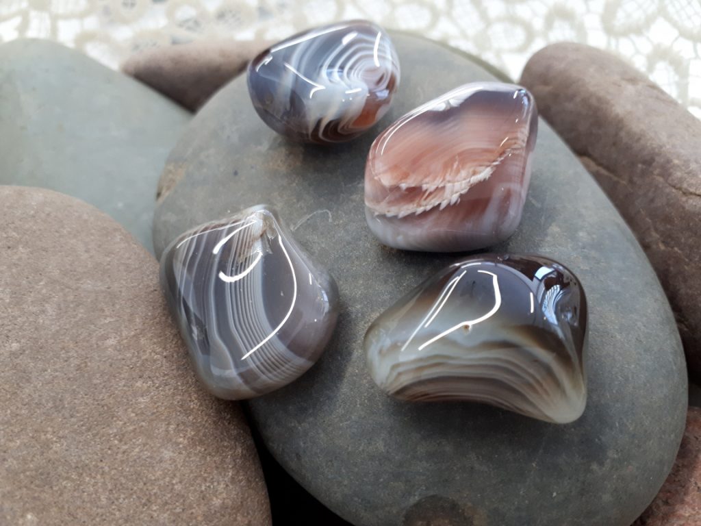 Wshop קניון הרוחניות מבית אלטרנטיבלי