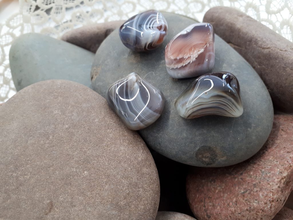 Wshop קניון הרוחניות מבית אלטרנטיבלי