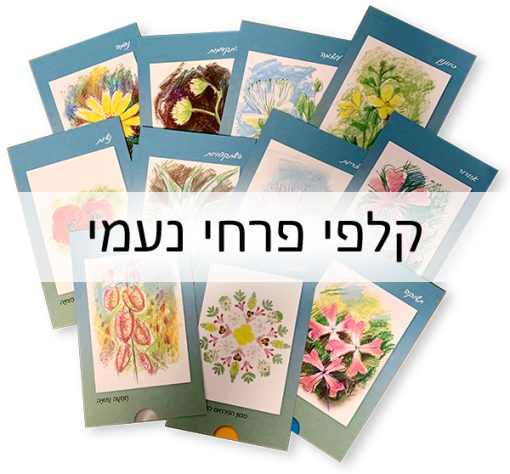 קלפי פרחי נעמי